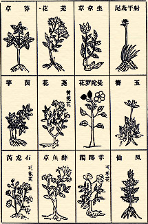 illustrations from ben-cao-gang-mu