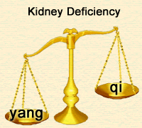Kidney yang deficiency and kidney qi deficiency represent different stages of a process.