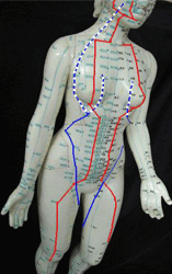 The Liver Meridian (blue) and the Stomach Meridian (red) run through the breast, chest and abdomen.